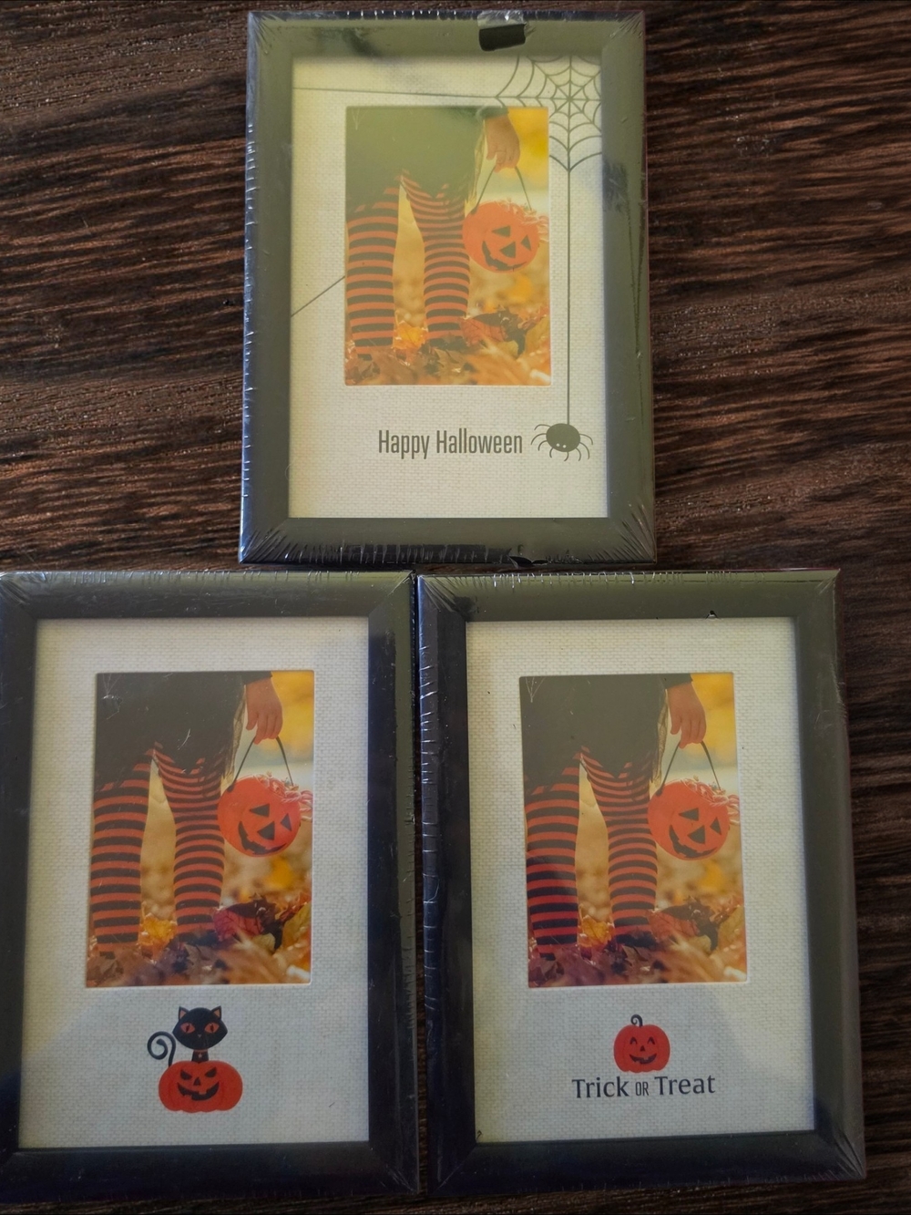 Halloween Picture Frame (PICK 1)